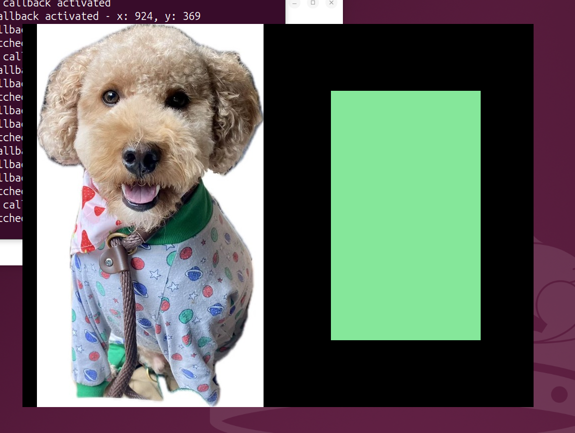 a small, poodle-like dog now appears in the place previously occupied by the solid blue rectangle. The green rectangle remains on the screen.